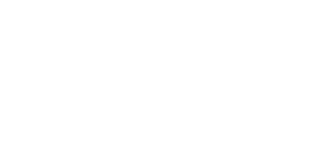 0N1 Force